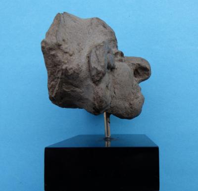 Tête en terre cuite, Maya Guatemala - 650 à 950 après J.C 2