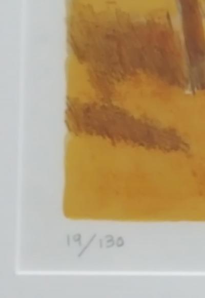 Eliane Thiollier, Paysage de Camargue, Lithographie signée et numérotée 2