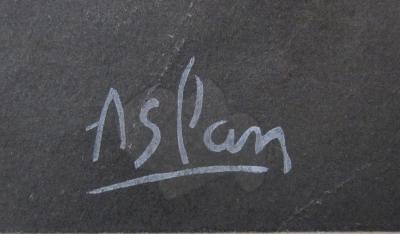 ASLAN 