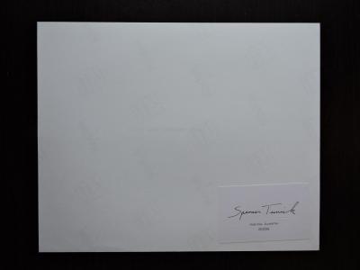 Spencer TUNICK - Ernst Happel Stadion à Vienne, 2008 - Tirage C print 2