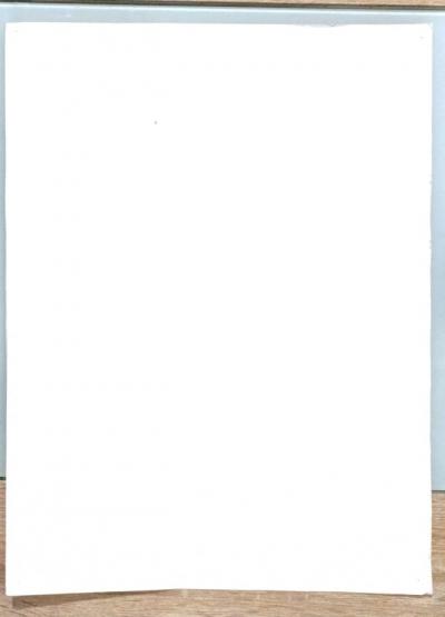 Yves BRAYER - Les amandiers en fleurs - Lithographie 2