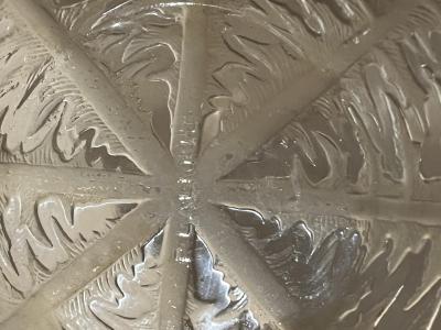 3 coupes modèle Pissenlit par René Lalique 2
